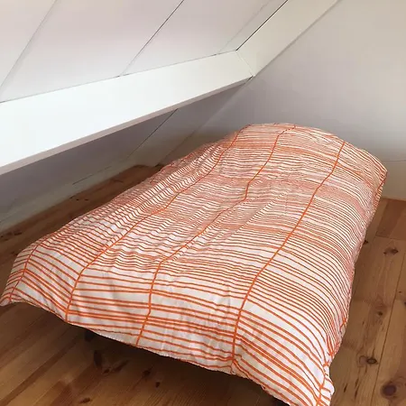 Zweeds Vakantiehuis 200 M2 In Scandinavische Stijl * Drempt